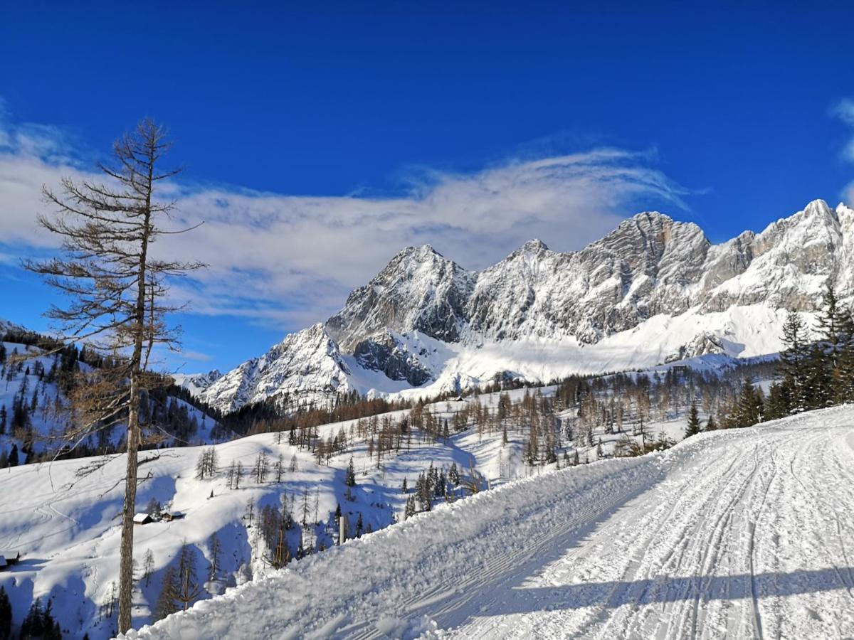 Brandhof Apartment Ramsau am Dachstein Bagian luar foto