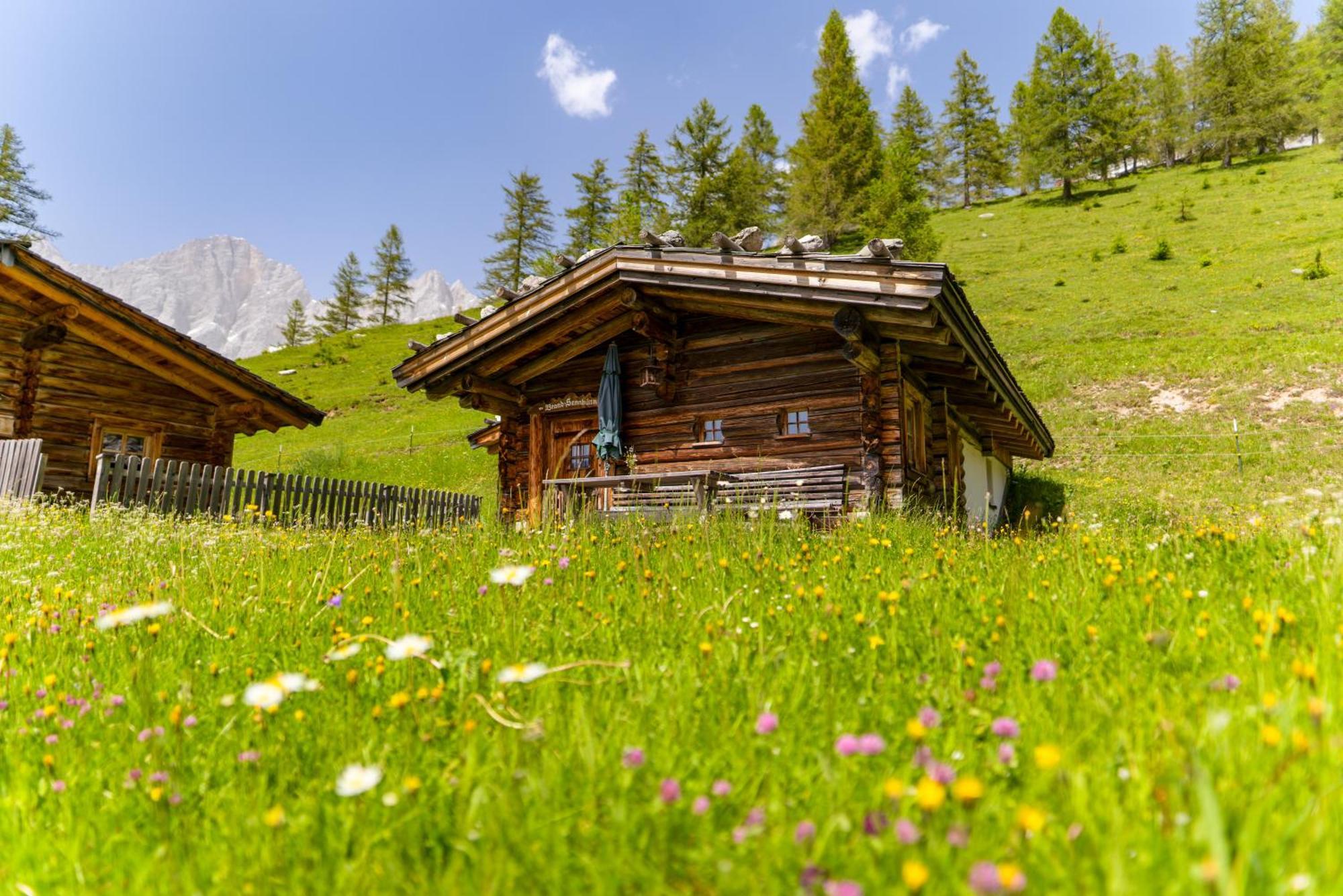 Brandhof Apartment Ramsau am Dachstein Bagian luar foto